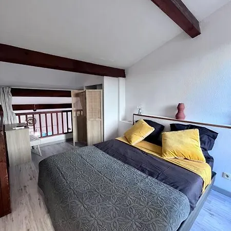 Apartament Magnifique T1bis Dans Centre Avec Parking