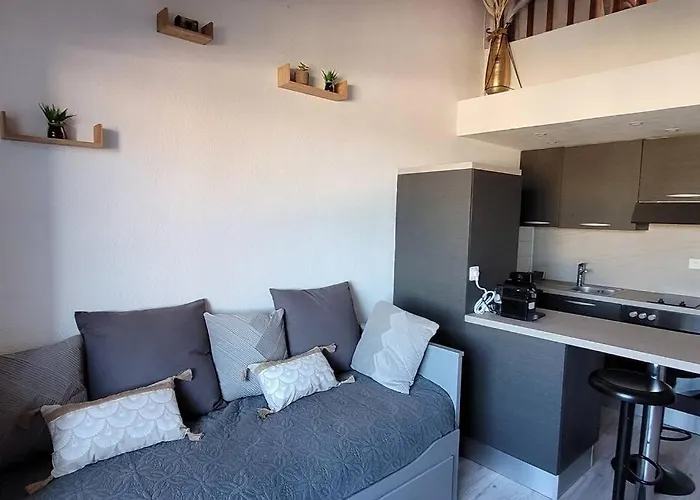 Magnifique T1bis Dans Centre Avec Parking Apartamento