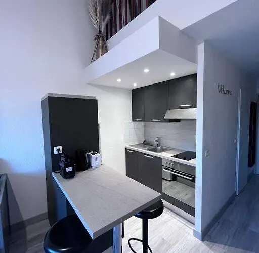 Apartamento Magnifique T1bis Dans Centre Avec Parking *