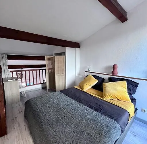 Appartement Magnifique T1bis Dans Centre Avec Parking